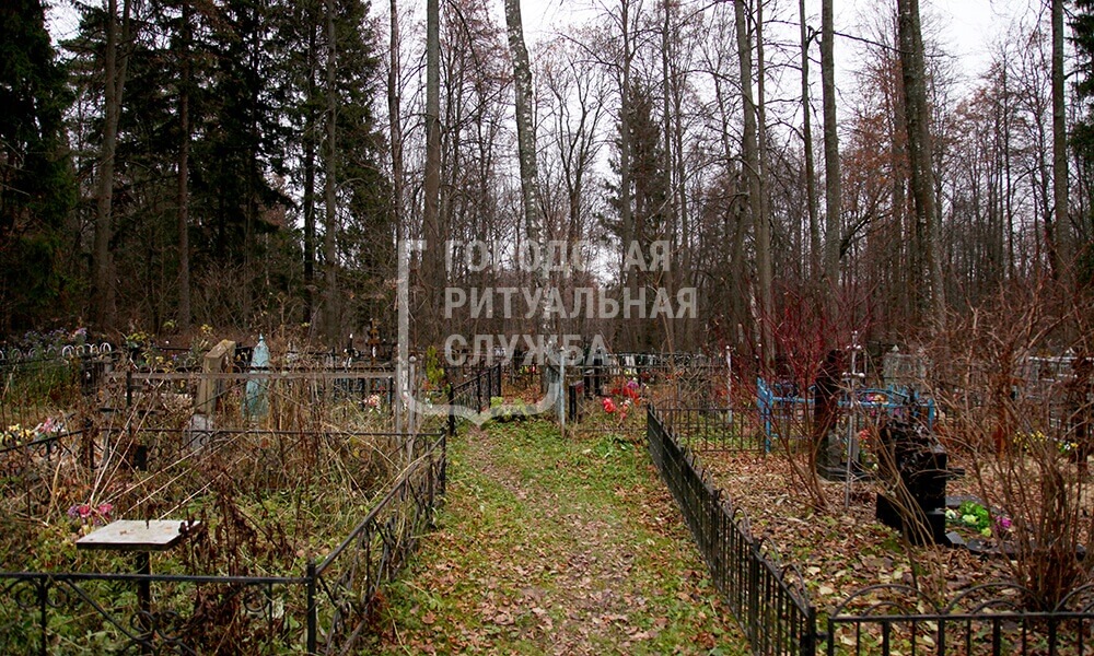 Кладбище Жохово